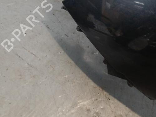 Left front fenders RENAULT SCÉNIC III (JZ0/1_) 1.9 dCi (JZ0J, JZ1J, JZ1K, JZ1S) | BP21710241C41 