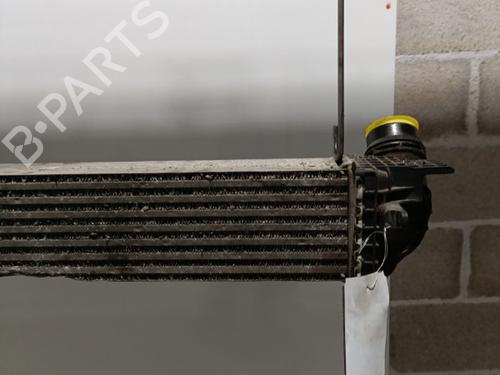 Used Intercooler Intercooler RENAULT SCÉNIC III (JZ0/1_) 1.6 dCi (JZ00, JZ12) (130 hp) 21704483 21704483