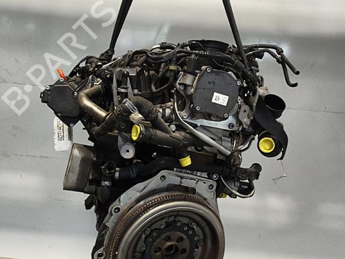 Engine VW GOLF PLUS V (5M1, 521) | BP36553786M1 - Image 8