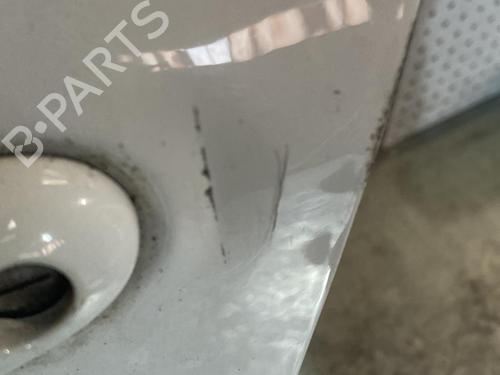 Left front door RENAULT ZOE (BFM_) ZOE | BP21718108C2 