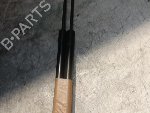Used Tailgate lift support NISSAN QASHQAI / QASHQAI +2 I (J10, NJ10, JJ10E) 1.5 dCi (106 hp) 22691606