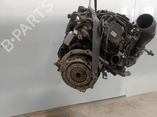 Engine VW POLO V (6R1, 6C1) 1.6 TDI | BP28166089M1 