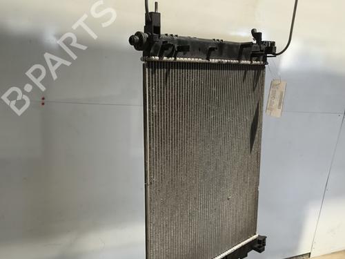 Used Water radiator Water radiator DACIA SANDERO II 1.0 SCe 75 (B8JC, B8JD, B8NC) (73 hp) 33232243 33232243