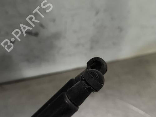 tailgate-lift-support-fiat-panda-312_-319_-2012-29348199 main image