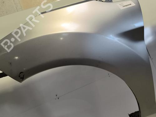 Left front fenders FORD FIESTA VI (CB1, CCN) 1.25 | BP24199314C41 