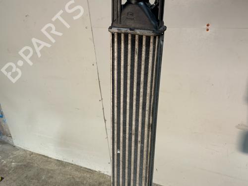 Used Intercooler Intercooler FIAT GRANDE PUNTO (199_) 1.3 D Multijet (75 hp) 40201182 40201182