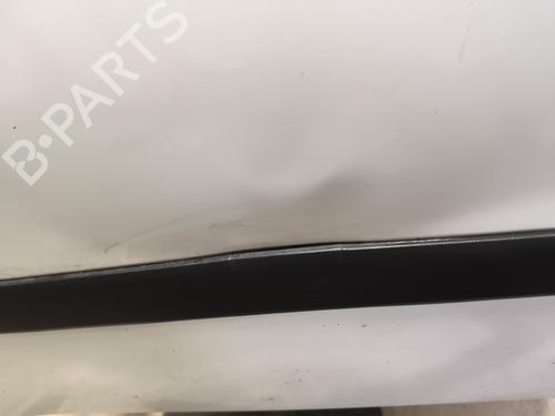 Left front door RENAULT KANGOO Express (FW0/1_) 1.5 dCi 90 (FW0G, FW05, FW08, FW11) | BP31972367C2 