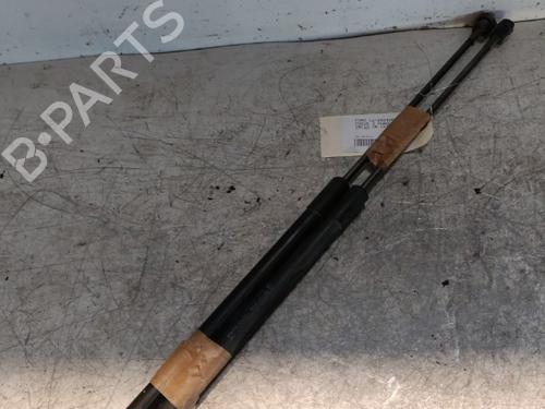 Tailgate lift support FORD FOCUS III 1.6 TDCi | BP21699601C138 