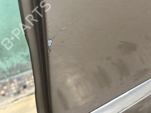 Left rear door RENAULT SCÉNIC III (JZ0/1_) 1.5 dCi (JZ02, JZ0R) | BP27893943C4 