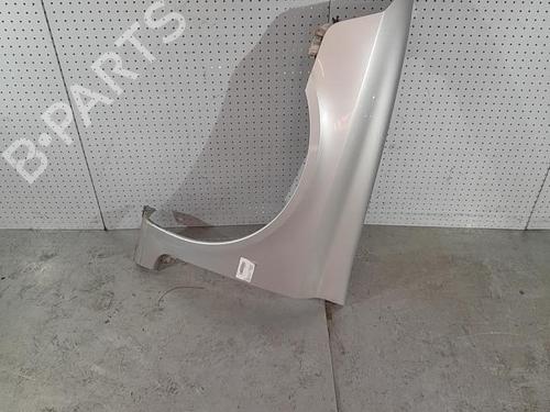 Left front fenders RENAULT LAGUNA II (BG0/1_) 1.9 dCi (BG1A, BG1W, BG0G) | BP21719649C41 