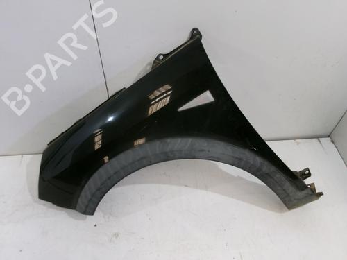 Left front fenders RENAULT SCÉNIC II (JM0/1_) 1.5 dCi (JM1E, JM16) | BP22328055C41 