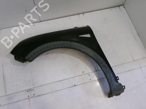 Left front fenders RENAULT SCÉNIC II (JM0/1_) 1.5 dCi (JM1E, JM16) | BP22328055C41 