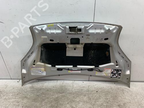 Used Hood Hood PEUGEOT BIPPER Tepee 1.3 HDi 75 (75 hp) 39897533 39897533
