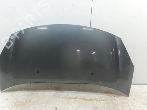 Used Hood CITROËN C3 II (SC_) 1.4 HDi 70 (SC8HZC, SC8HR0, SC8HP4) (68 hp) 30902274