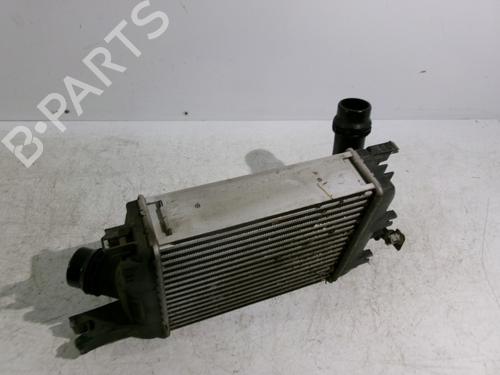 Intercooler RENAULT CLIO IV (BH_) 1.2 TCe 120 (BHM0) | BP24363162M30 