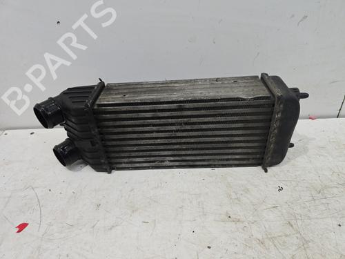 Used Intercooler PEUGEOT 207 (WA_, WC_) 1.6 HDi (90 hp) 30763857