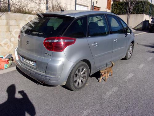 Left taillight CITROËN C4 Picasso I MPV (UD_) 1.6 HDi | BP22325109C34