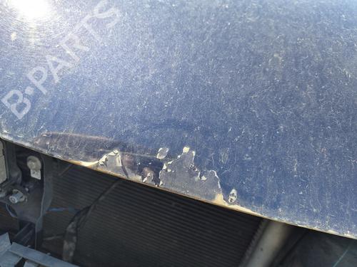 Used Hood Hood VW SHARAN (7N1, 7N2) 2.0 TDI (184 hp) 35924956 35924956
