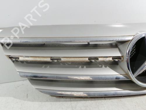 Grille MERCEDES-BENZ B-CLASS Sports Tourer (W245) B 180 CDI (245.207) | BP25153799C40