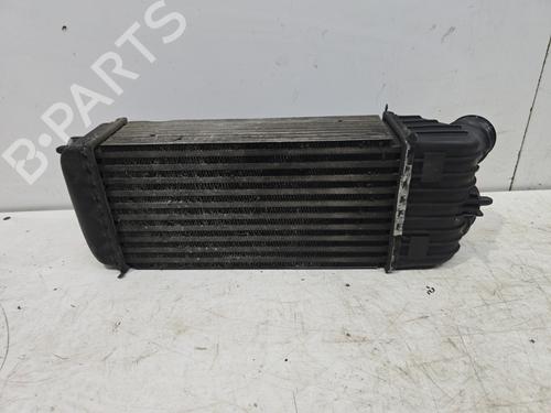 Used Intercooler Intercooler PEUGEOT 207 (WA_, WC_) 1.6 HDi (90 hp) 30763857 30763857