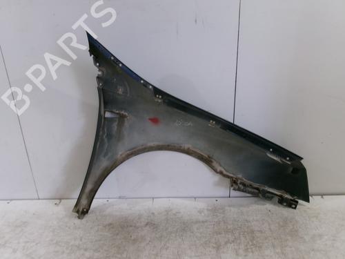Left front fenders RENAULT VEL SATIS (BJ0_) 2.2 dCi (BJ0E, BJ0F) | BP25653860C41