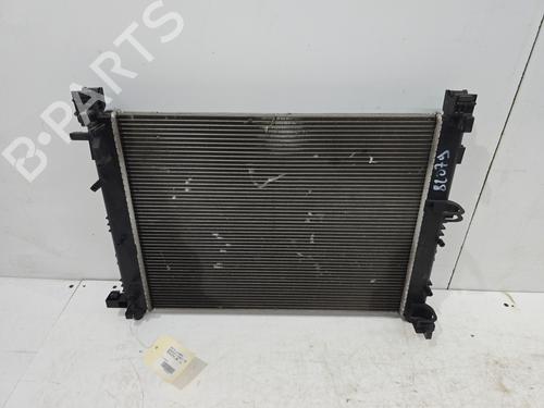 Used Water radiator Water radiator DACIA SANDERO II 1.0 SCe 75 (B8JC, B8JD, B8NC) (73 hp) 32195712 32195712