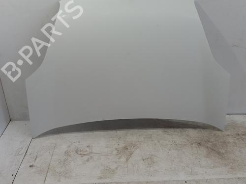 hood-fiat-doblo-cargo-263_-2010-32440928 main image