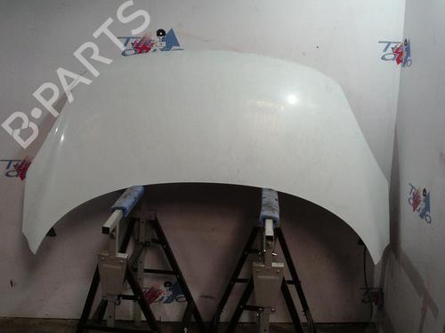 Hood RENAULT SCÉNIC III (JZ0/1_) 1.5 dCi | BP22539258C1