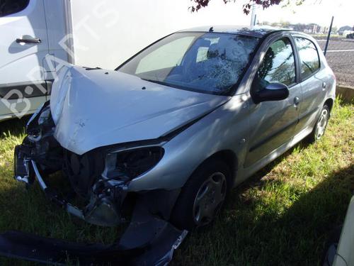 Left mirror PEUGEOT 206 Hatchback (2A/C) 1.4 HDi eco 70 | BP22539176C26 