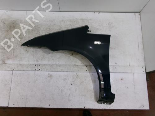 Left front fenders FORD C-MAX (DM2) 1.6 TDCi | BP25004002C41 