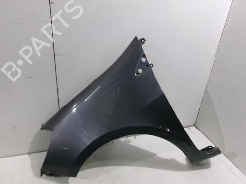 Used Left front fenders RENAULT CLIO III (BR0/1, CR0/1) 1.4 16V (98 hp) 28818731