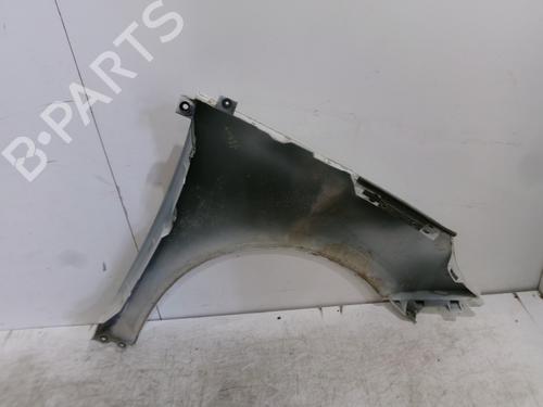 Left front fenders RENAULT SCÉNIC III (JZ0/1_) 1.5 dCi | BP26620108C41 