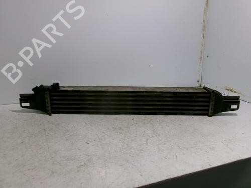 Intercooler PEUGEOT BIPPER (AA_) 1.4 HDi | BP24886228M30 - Image 4
