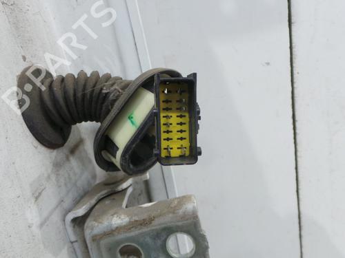 Left rear door PEUGEOT 208 I (CA_, CC_) 1.2 VTI 82 | BP30711109C4