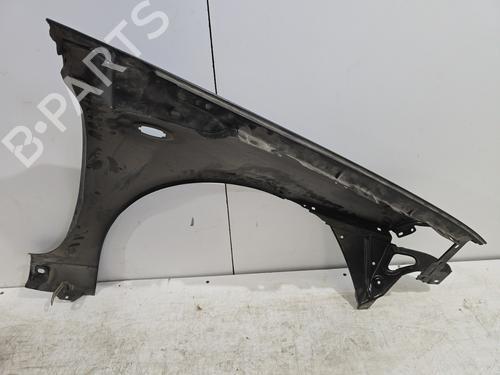 Left front fenders FIAT PUNTO (176_) 60 1.2 (176AP, 176AR, 176AQ, 176BB) | BP25001522C41 
