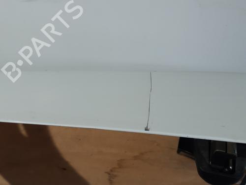 Right tailgate FIAT DOBLO Cargo (263_) 1.3 D Multijet | BP32437015C77