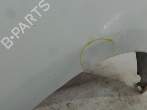 Left front fenders FIAT DOBLO Cargo (263_) 1.3 D Multijet | BP32396302C41