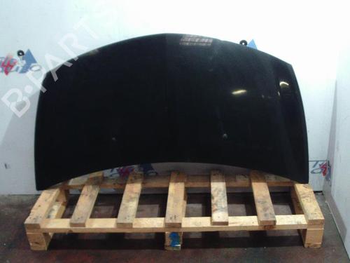 Used Hood RENAULT CLIO III (BR0/1, CR0/1) 1.5 dCi (BR17, CR17) (86 hp) 22539270