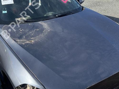 Hood BMW 1 (F20) 116 d 41007290942