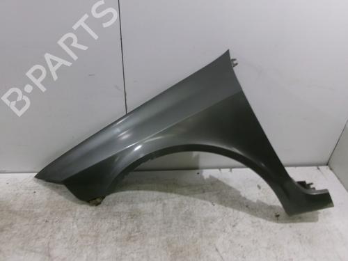 Used Left front fenders RENAULT LAGUNA II (BG0/1_) 1.8 16V (BG04, BG0B, BG0C, BG0V) (117 hp) 26019618