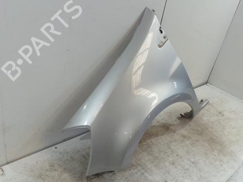 Left front fenders RENAULT CLIO III (BR0/1, CR0/1) 1.5 dCi (C/BR0G, C/BR1G) | BP28818710C41