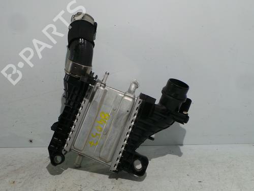 Intercooler RENAULT KANGOO Express (FW0/1_) 1.5 dCi 95 (FW16) (95 hp) 30519890