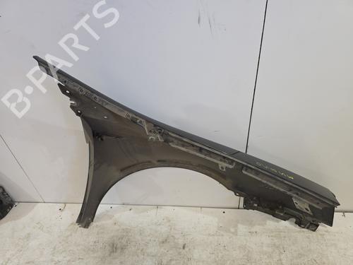 Left front fenders RENAULT VEL SATIS (BJ0_) 3.0 dCi (BJ0J, BJ0N) | BP24978449C41