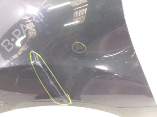 Left front fenders FORD FIESTA VI (CB1, CCN) 1.4 TDCi | BP22540376C41 