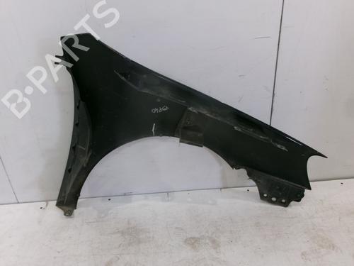 Left front fenders VW GOLF V (1K1) 1.9 TDI | BP29527306C41 
