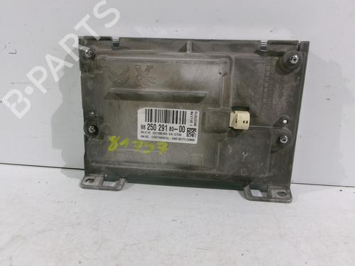 Display monitor PEUGEOT 2008 I (CU_) 1.2 THP 110 / PureTech 110 | BP24147906C48 