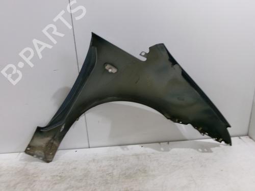 Left front fenders FORD C-MAX (DM2) 1.6 TDCi | BP25004002C41 