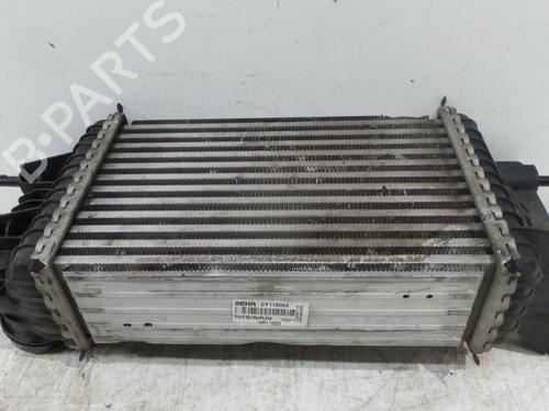 Used Intercooler Intercooler NISSAN JUKE (F15) 1.5 dCi (110 hp) 31065788 31065788