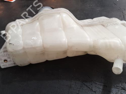 Expansion tank NISSAN JUKE (F15) 1.2 DIG-T | BP25129686C120