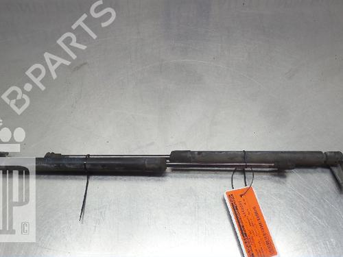 Used Tailgate lift support NISSAN PRIMERA Estate (WP12) 2.0 (140 hp) 22152730